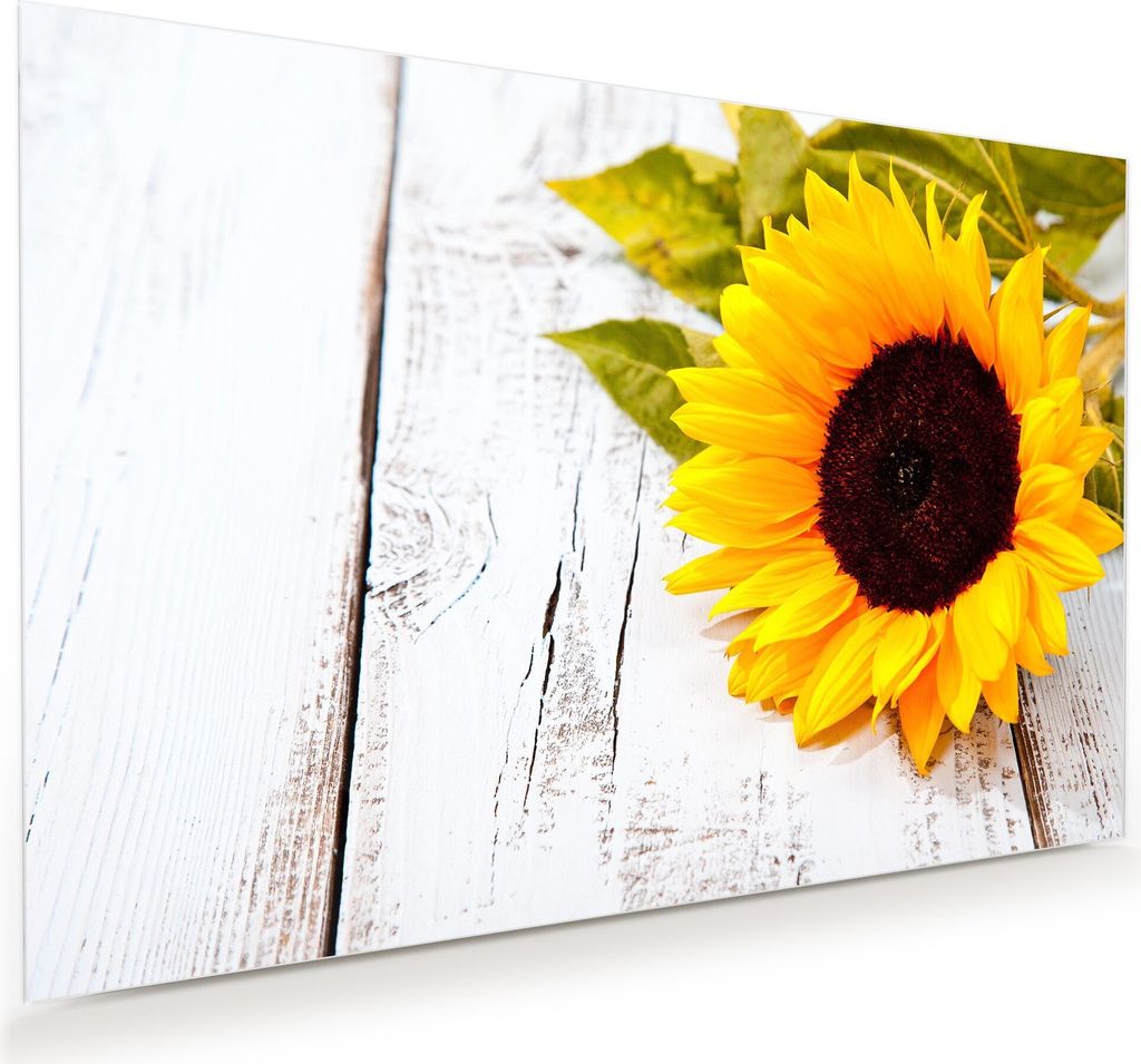 Glasbild Wandbild Sonnenblume auf Holztisch 120x80cm in XXL für Wohnzimmer, Schlafzimmer, Badezimmer, Flur