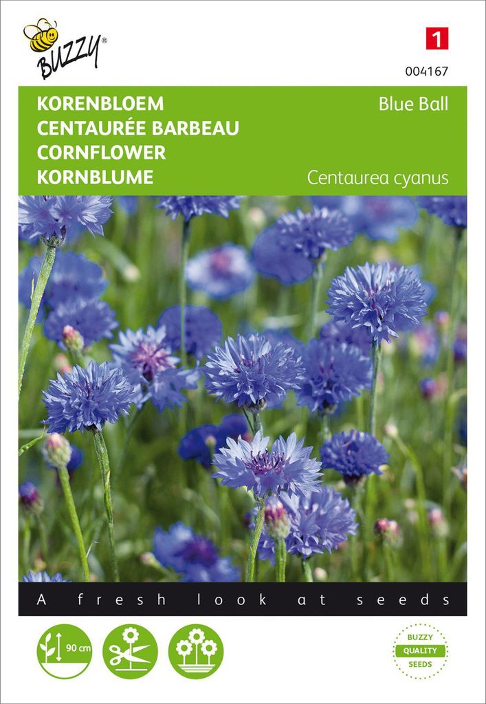 Kornblume Blue Ball gefüllte | Kornblumensamen von Buzzy Seeds