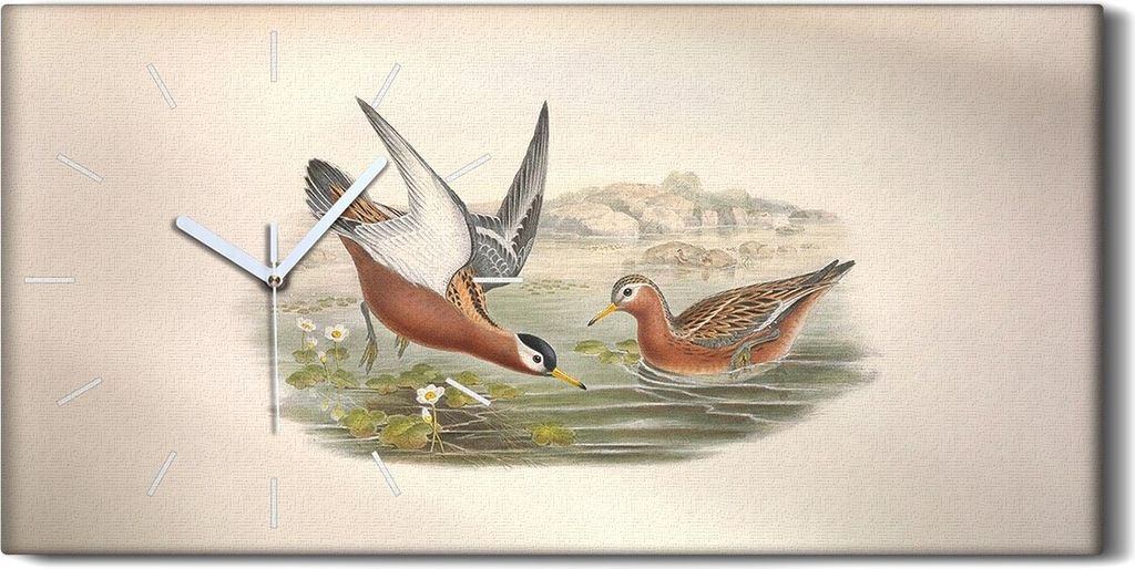 Wanduhr Bürouhr Leinwand Bild Geräuschlos 60x30 Vögel Wild Tiere Zeichnung Kunst - weiße Hände