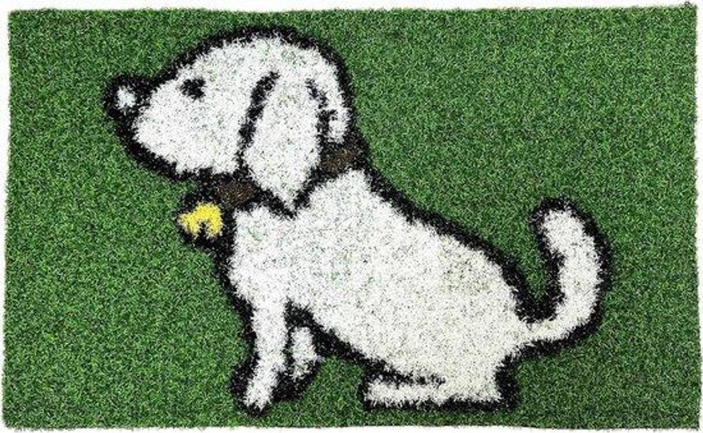 Hundetrainingmat für Katzen, Hundekotmatte für Welpen (38 x 63 cm)