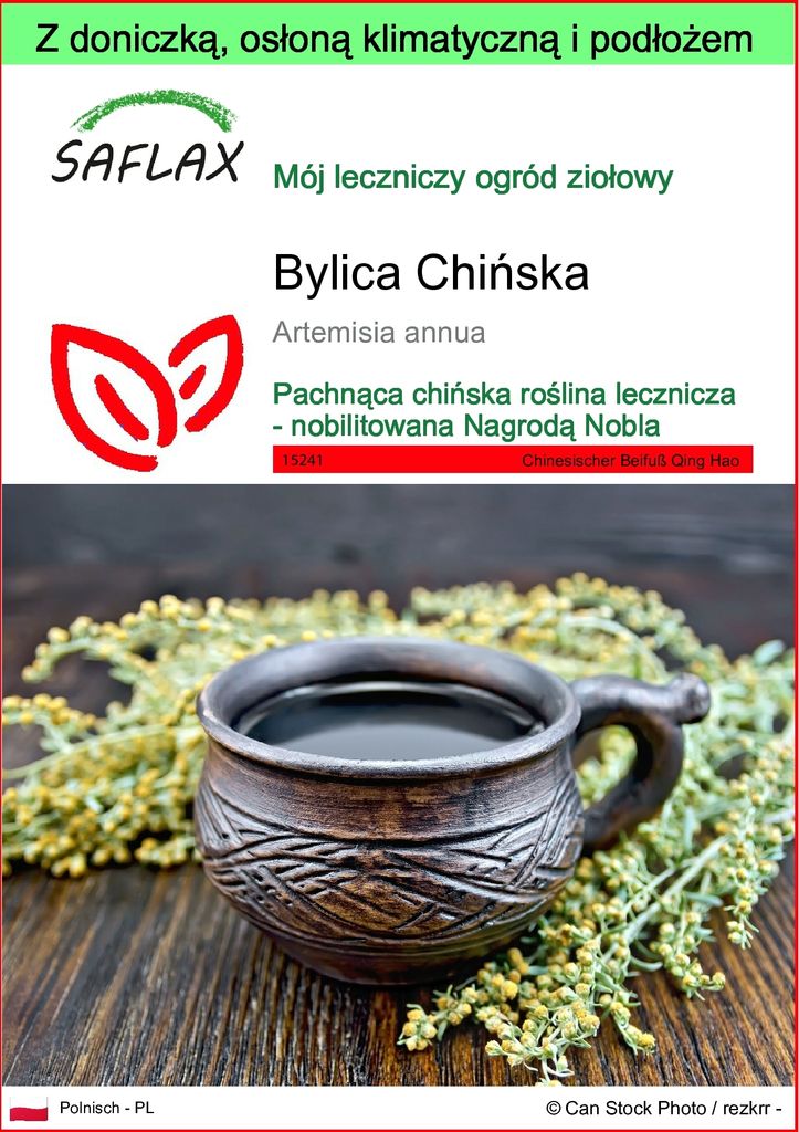 SAFLAX - Garden to go - Bylica Chińska - 250 Nasiona - Z Zdjęcie produktu 