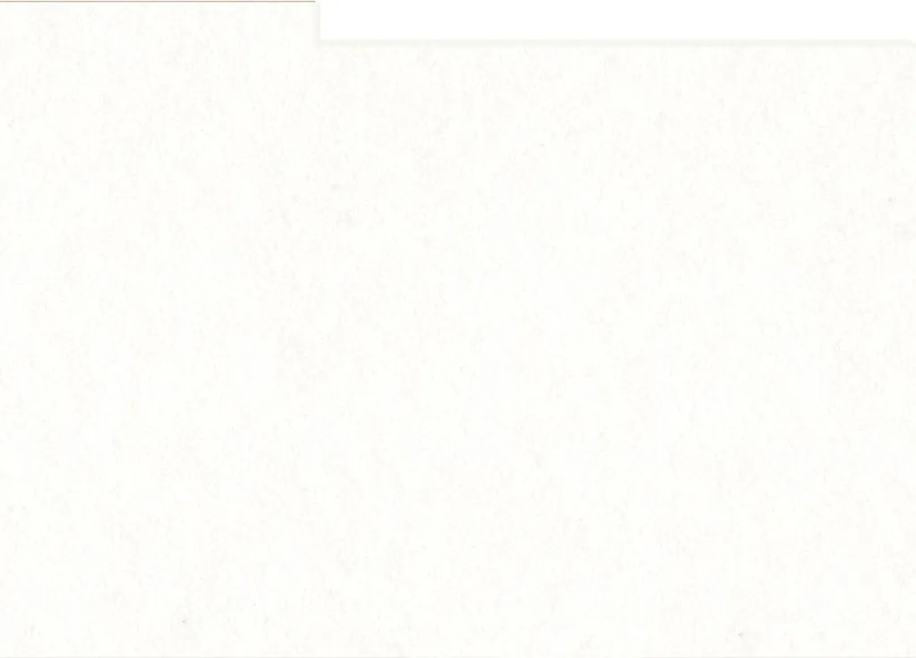 HNFD 10 Diviseurs pour Boîtes Photo 15x20 cm - Blanc Naturel Qualité