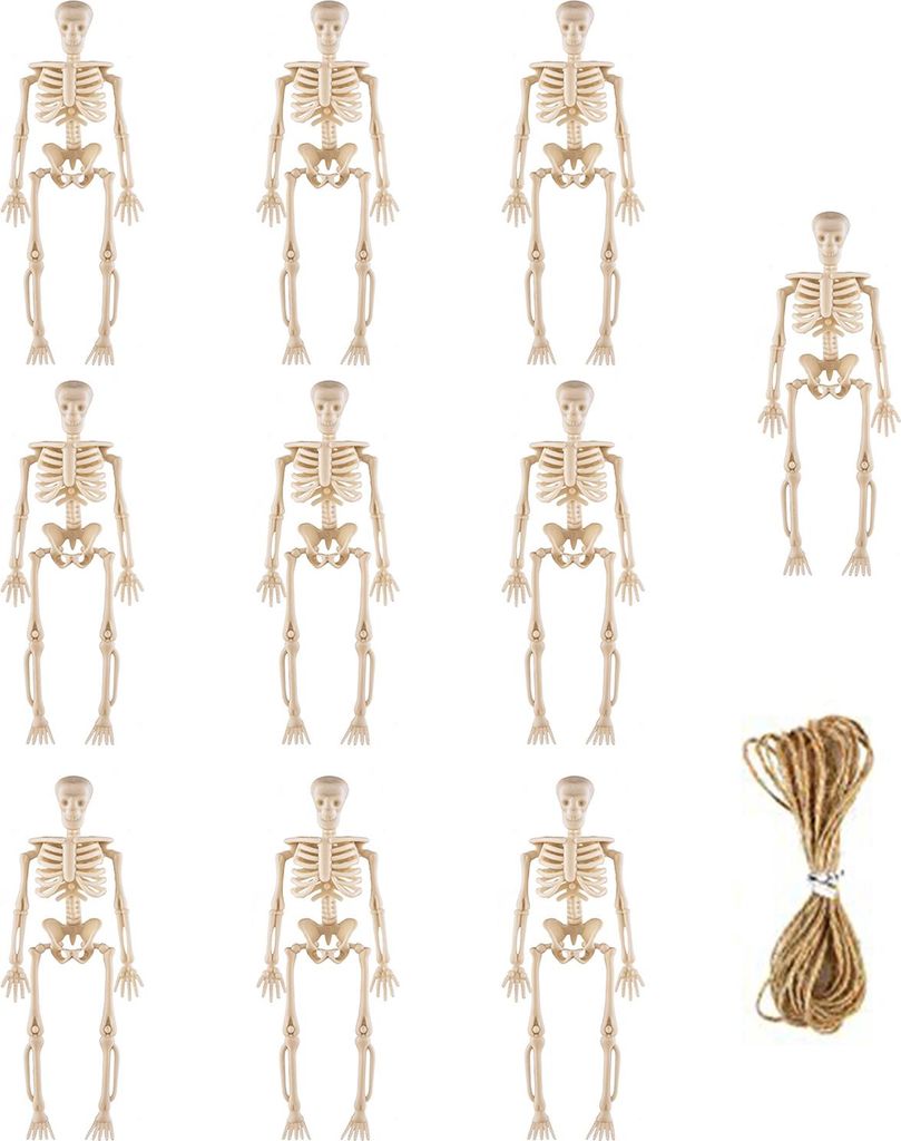 10 Stück Mini-Skelettfiguren-Dekoration, 15,2 cm, bewegliche menschliche Knochenstatue, Kunststoff-Totenkopf-Requisite für Halloween, Zuhause, Sp...