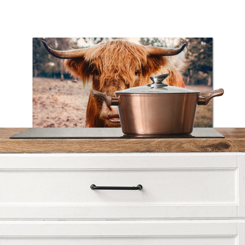 KitchenYeah Spritzschutz Küche - Küchenrückwand - Wandschutz für Herd und Spüle - Kuh - Schottisches Hochlandrind - Hörner - Braun - Landsc...
