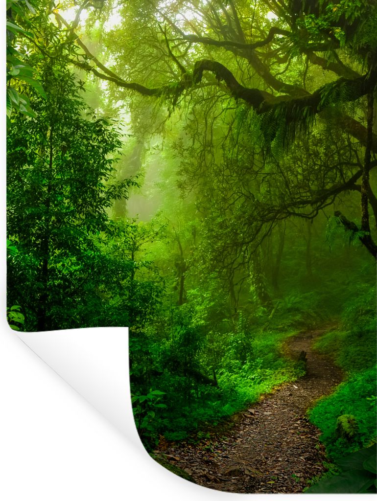 MuchoWow Wandtattoo Wandsticker Wandaufkleber Landschaft - Dschungel - Tropisch - Sonne - Grün 30x40 cm Selbstklebend und Repositionierbar - Sti...