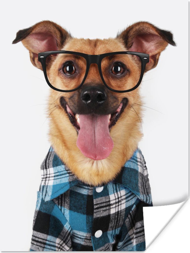 MuchoWow Poster Hund - Bluse - Brille - Hipster 90x120 cm - Wohnzimmer