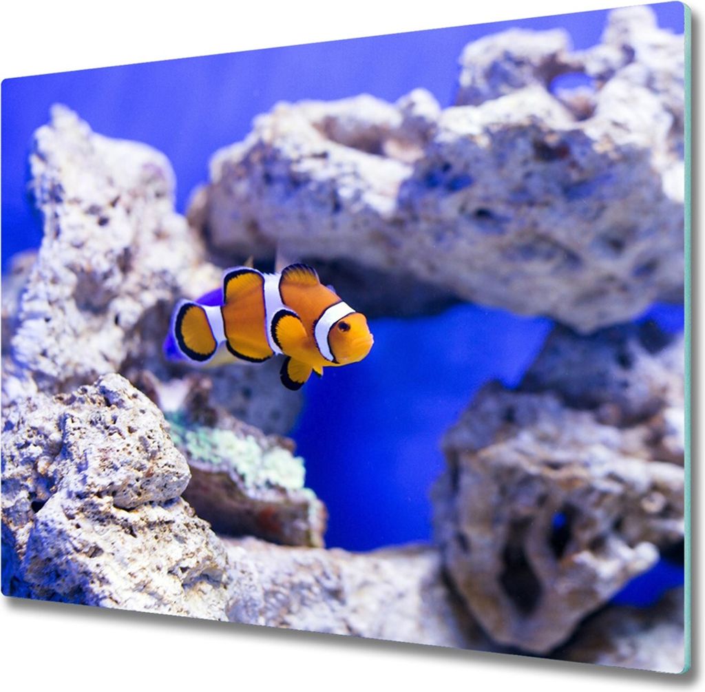 Glas Herdabdeckplatte 60x52 cm Spritzschutz Glasabdeckplatte Schneidebrett Nemo Korallenriff