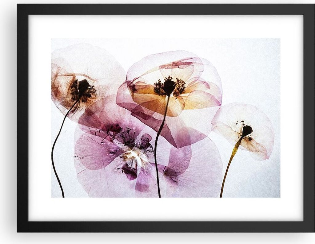 Gerahmtes Poster - Schwarzer Rahmen - blume sommer natur - 40x30 cm - Wand Bild - Wanddeko - Wandbilder - Kunstposter - Wandposter - Bilderrahmen -...