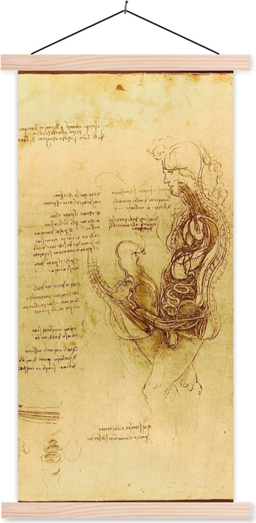 MuchoWow Textilposter Die menschliche Fortpflanzung - Leonardo da Vinci 60x120 cm mit holzfarbenen Rahmen - Holz
