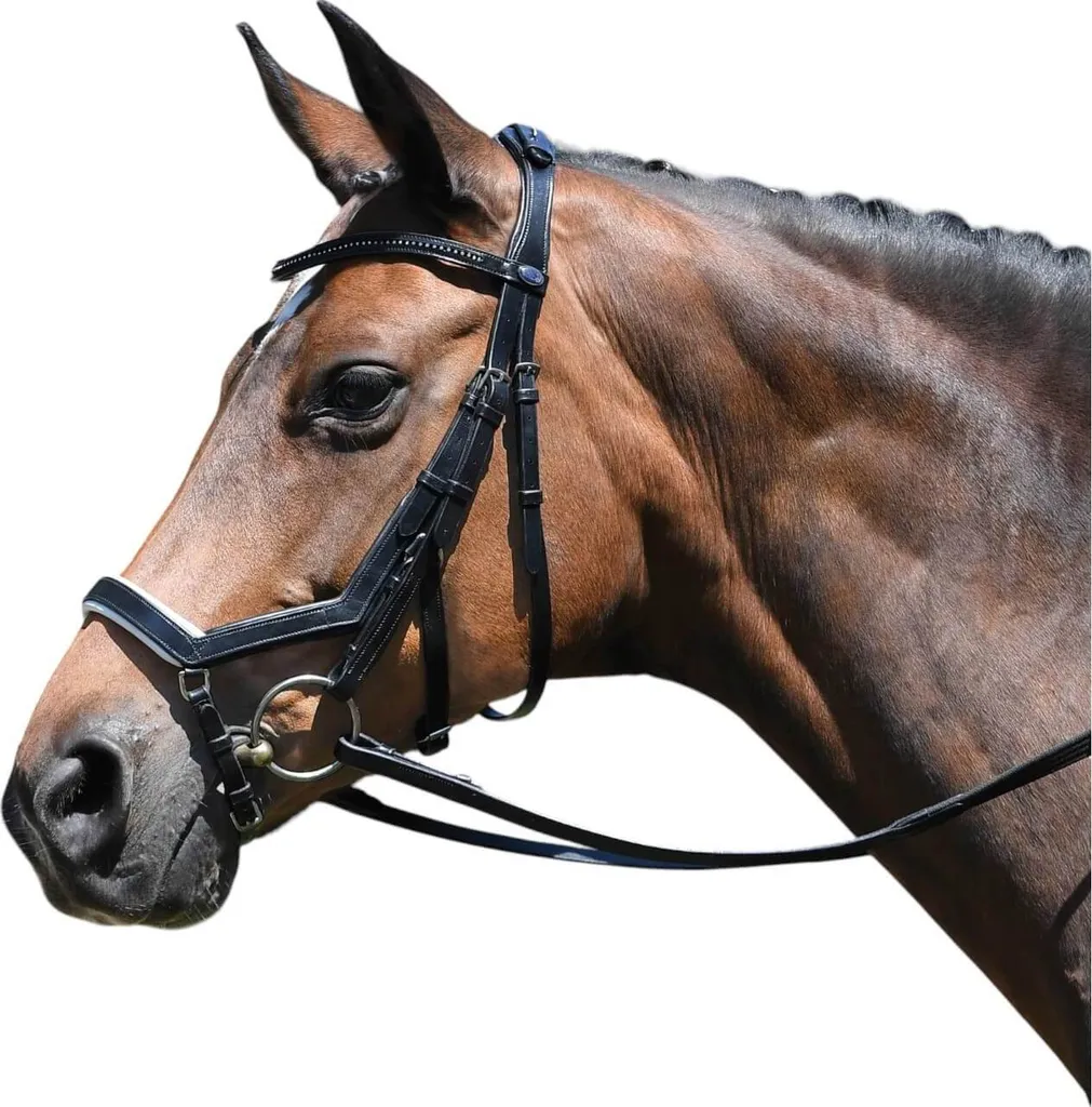 Filet de Cheval en Cuir avec Muserolle Combinée et Strass Argent BUSSE - 5