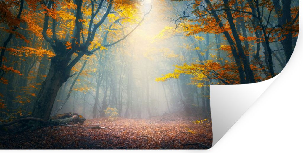 MuchoWow Wandtattoo Wandsticker Wandaufkleber Wald - Nebel - Herbst 40x20 cm Selbstklebend und Repositionierbar - Aufkleber