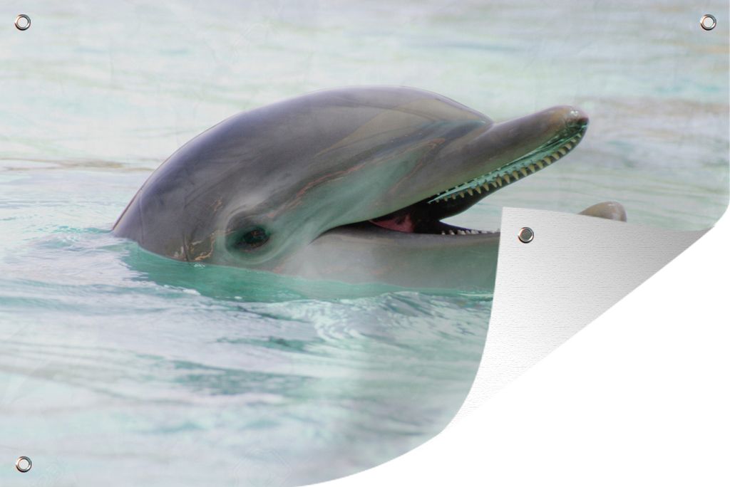 MuchoWow 120x80 cm Outdoor-Poster Gartendeko Sichtschutz Garten Poster für den Garten Delfin - Wasser - Meer