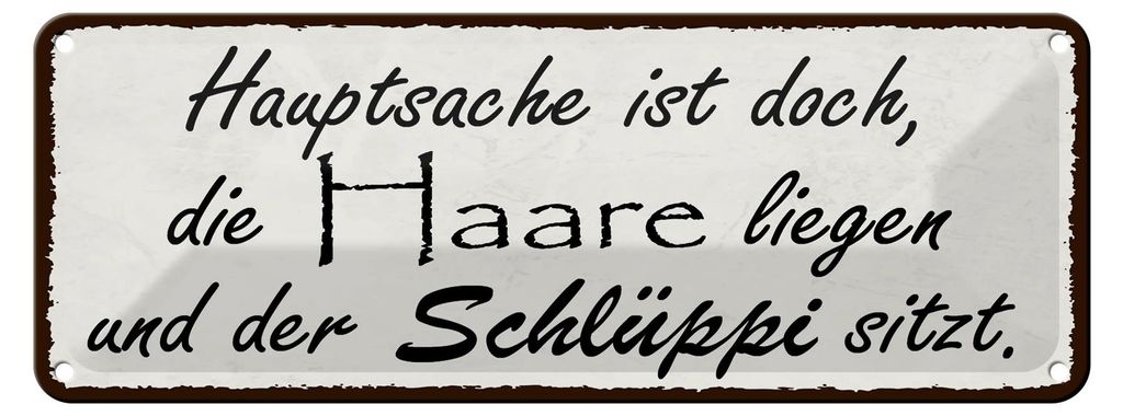 Blechschild Spruch 27x10cm Hauptsache doch die Haare liegen Produktbild 