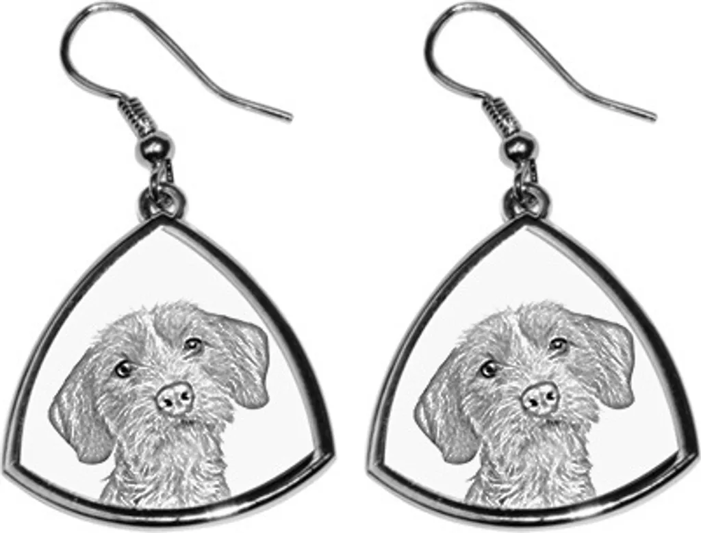 Orecchini Basset Fauve de Bretagne Art-Dog | Gioielli Cane Personalizzati
