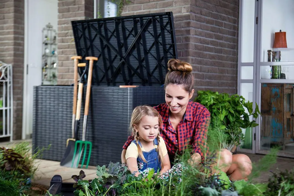 Boîte de Jardin Keter Java 870 L avec Vérins - Coffre de Stockage Étanche - 12