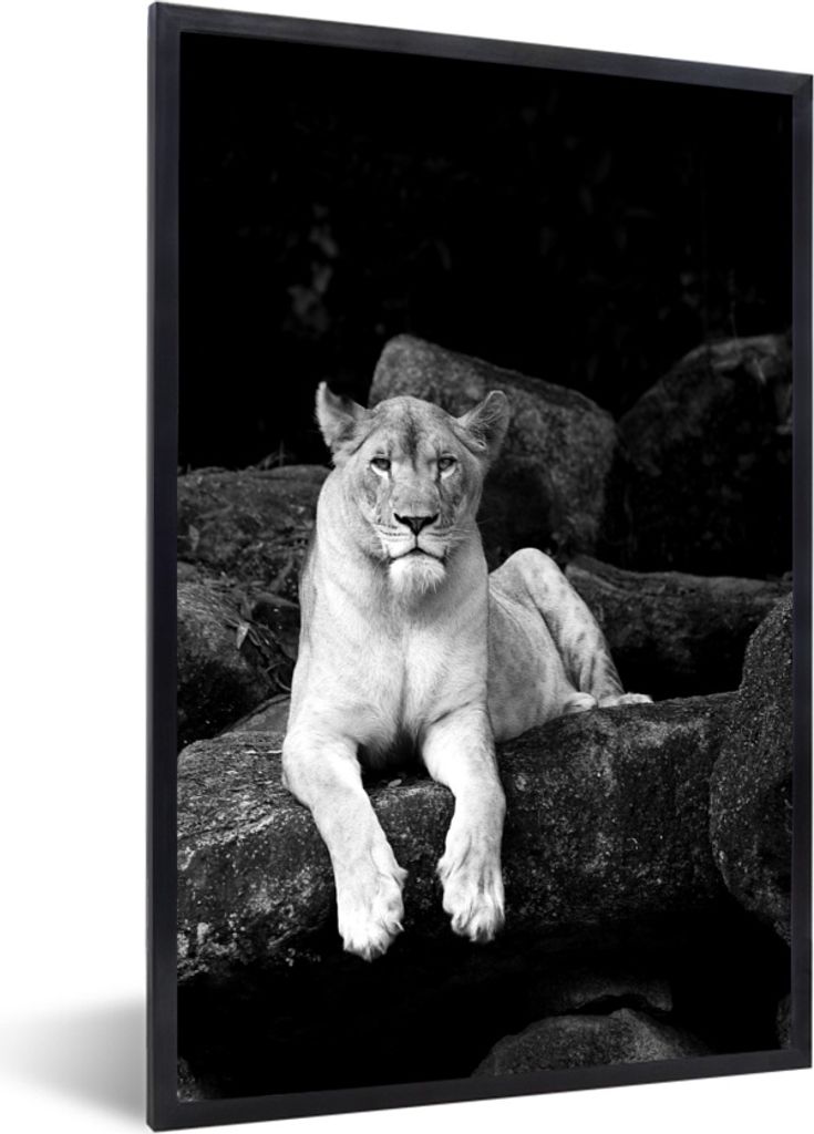 MuchoWow MuchoWow Gerahmtes Poster Löwin Porträt - schwarz und weiß 40x60 cm - Poster mit zchwarzem Bilderrahmen - Papierdruck - Wandbilder