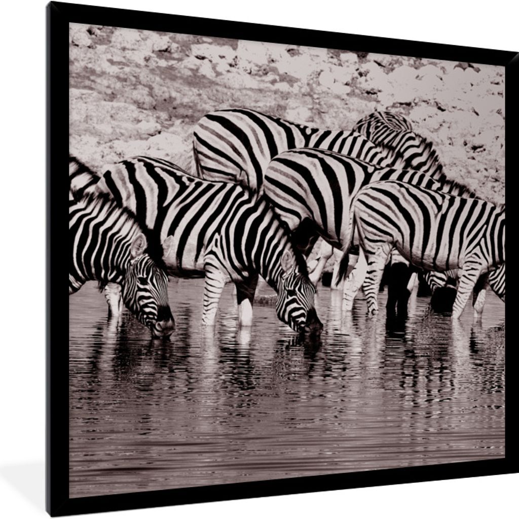 MuchoWow® Gerahmtes Poster Zebras im Wasser 40x40 cm - Produktbild 