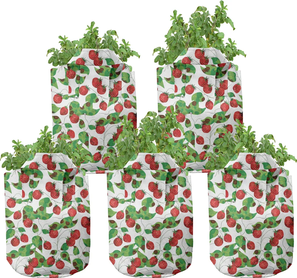 Évitez le chignonage des racines avec nos pots en tissu 7 gallons x5