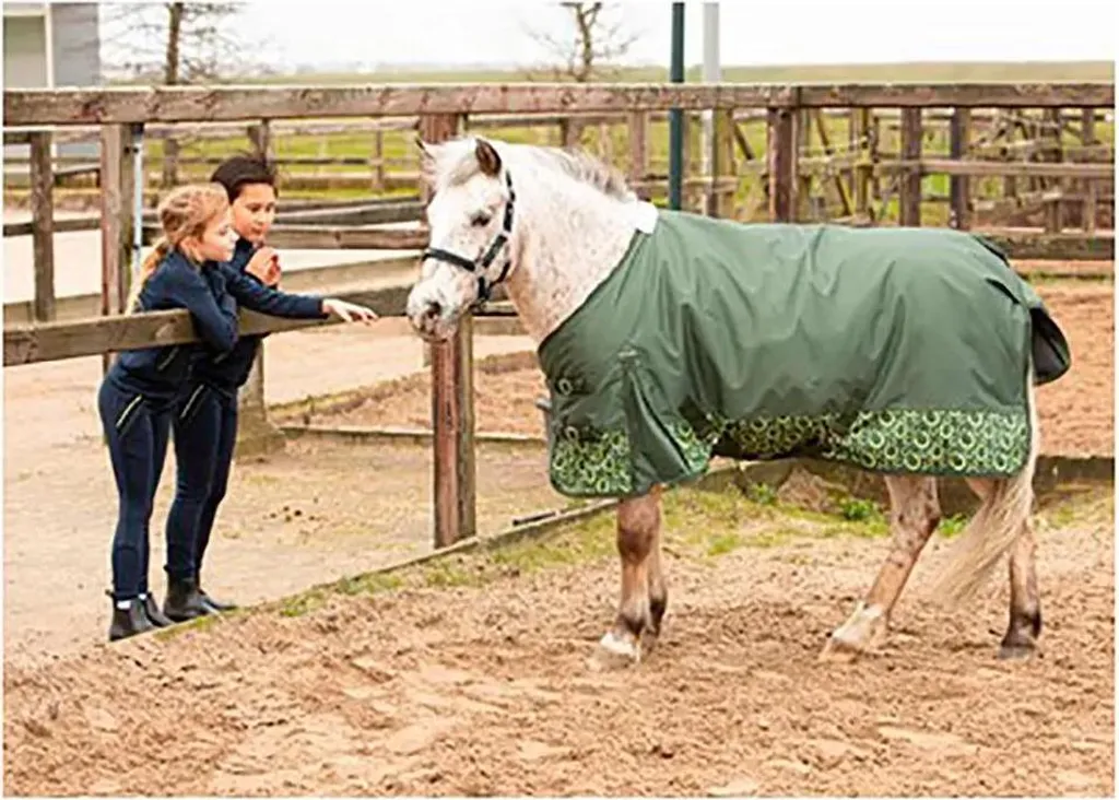 Couverture de Sortie au Pré 125 cm Harry's Horse Stout ! Coloris Chaux