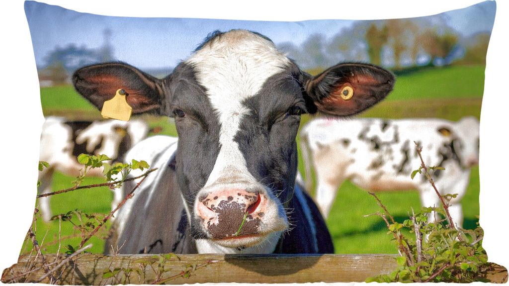 MuchoWow Zierkissen Sofakissen Wohnzimmer Dekokissen 50x30 cm Kuh - Zaun - Gras - Tiere - Wohnzimmerdekoration - Polster mit Photo