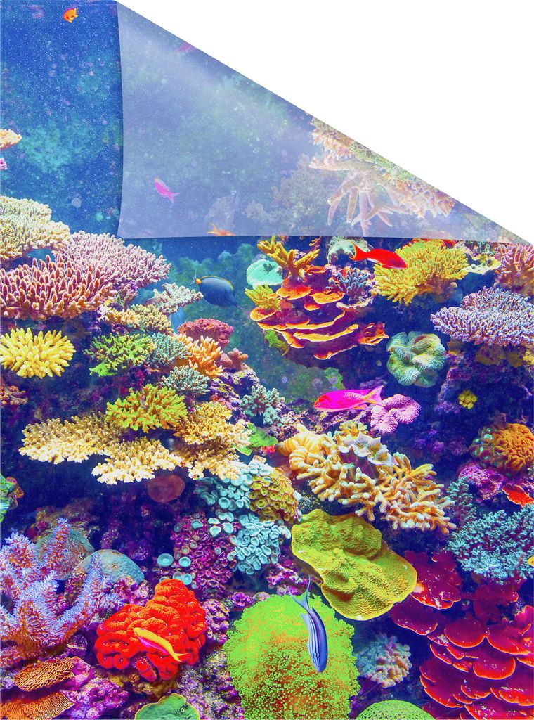 Lichtblick Fensterfolie selbstklebend, Sichtschutz, Aquarium - Bunt 50 cm, 50 x 50 cm (B x L)