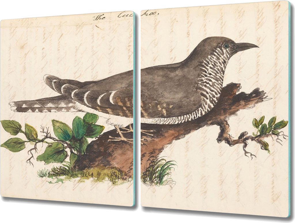 Coloray Küchenbrett Kochplattenabdeckung Hackbrett Schneidebrett Herdabdeckplatte 2x40x52 cm - Vogel Zeichnung