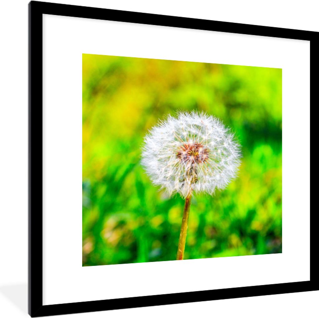 MuchoWow Gerahmtes Poster Löwenzahn - Gras - Blume 40x40 cm - Poster mit Schwarzem Bilderrahmen Wandposter Rahmen Foto Bilder - Poster - Plakat ...
