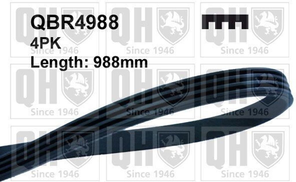 QUINTON HAZELL Keilrippenriemen 988mm für FORD Escort V Schrägheck (GAL) QBR4988