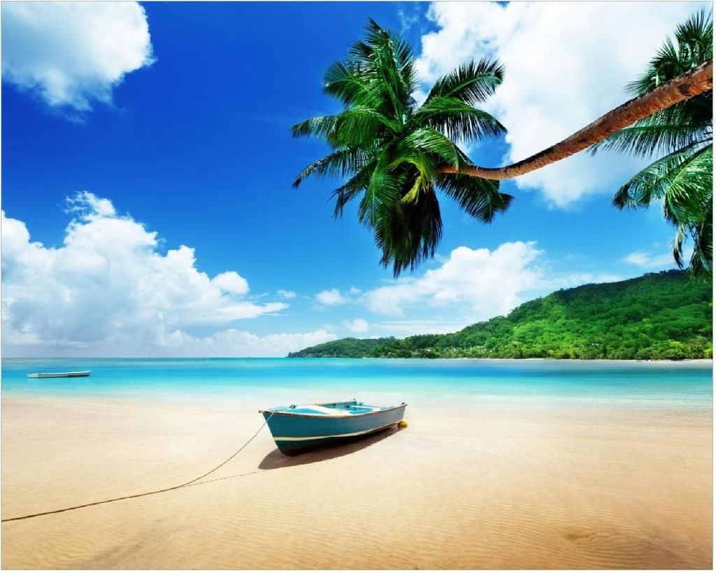 Wallario Poster - Urlaub am Palmenstrand unter Palmen mit Fischerboot, Kunstdruck Größe: 40 x 50 cm