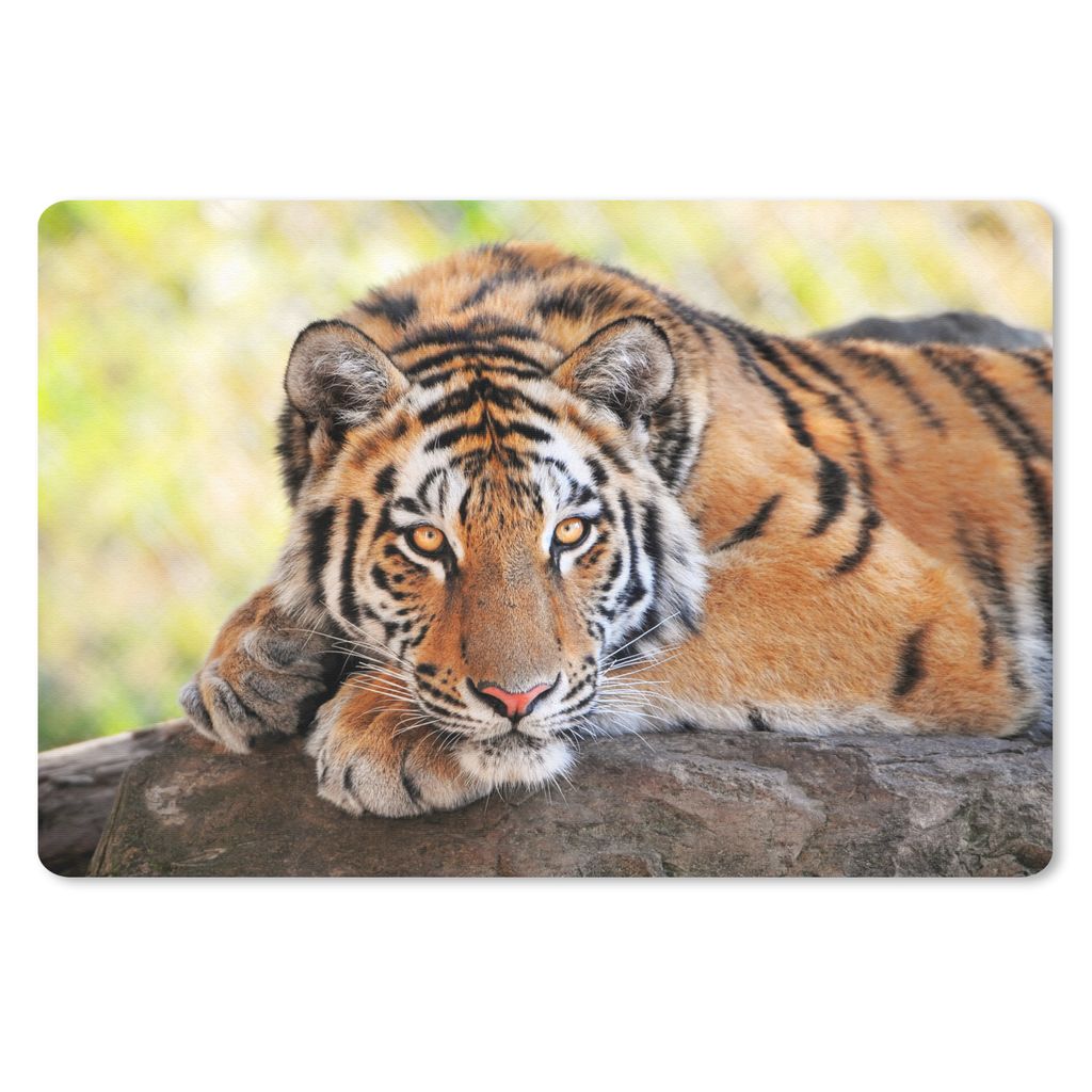 MuchoWow Mauspad Mousepad Tiger - Welpe - Rüssel 27x18 cm - Mousepads - Maus Mat - Pad - Mausunterlage - Büroartikel - Desk Matten