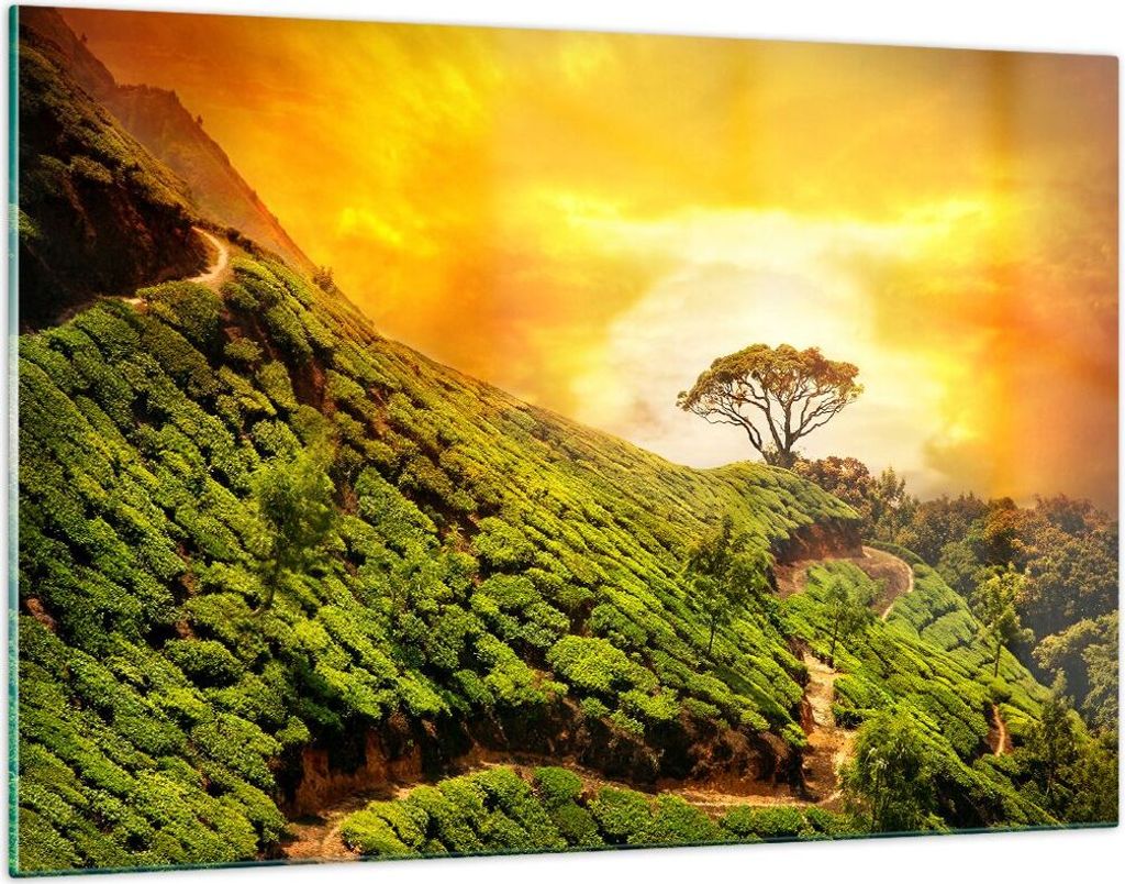 Bilder auf glas - Berg Baum Pfad Hügel - 120x80cm - Glasbilder - Wandbilder - Kunstdruck - zum Aufhängen bereit - Wanddekoration aus Glas - Glas ...