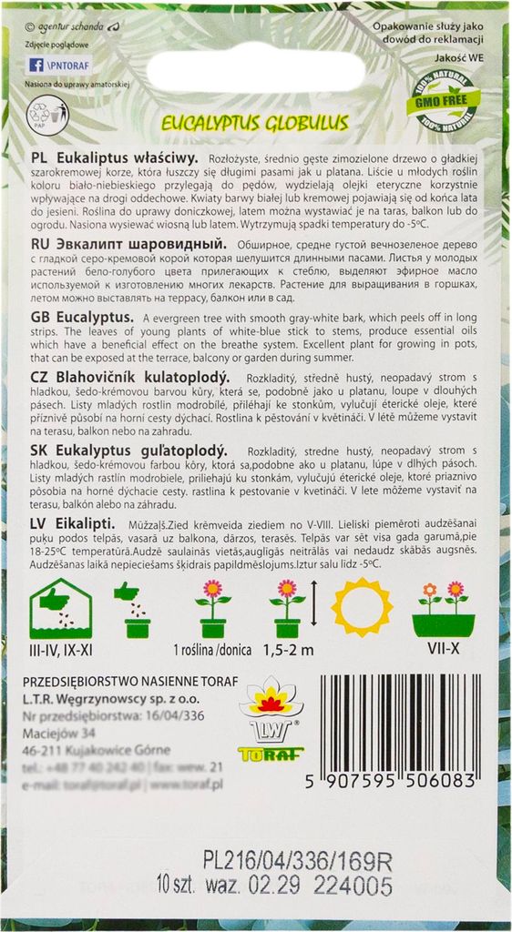 Toraf 10Pcs Eukalyptus Richtige Samen Immergrüner Baum Produktbild 