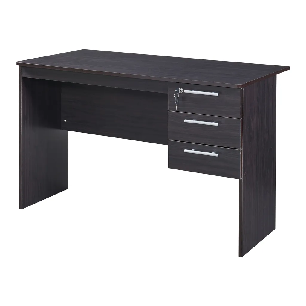 Table de Bureau de Direction Ragunda avec Rangement Intégré Bois Foncé - 3
