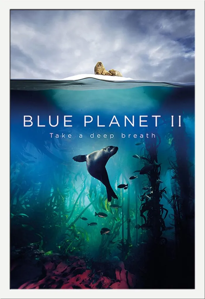 Tableau Blue Planet 2 Deep Breath avec Cadre Shinsuke Blanc Antireflet