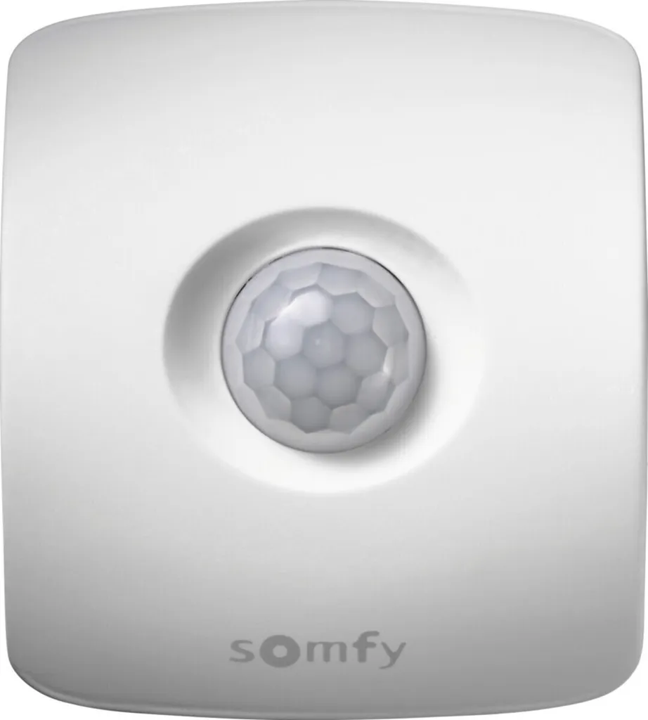 Somfy TaHoma détecteur de mouvement 1811481 : finissez-en avec les vols