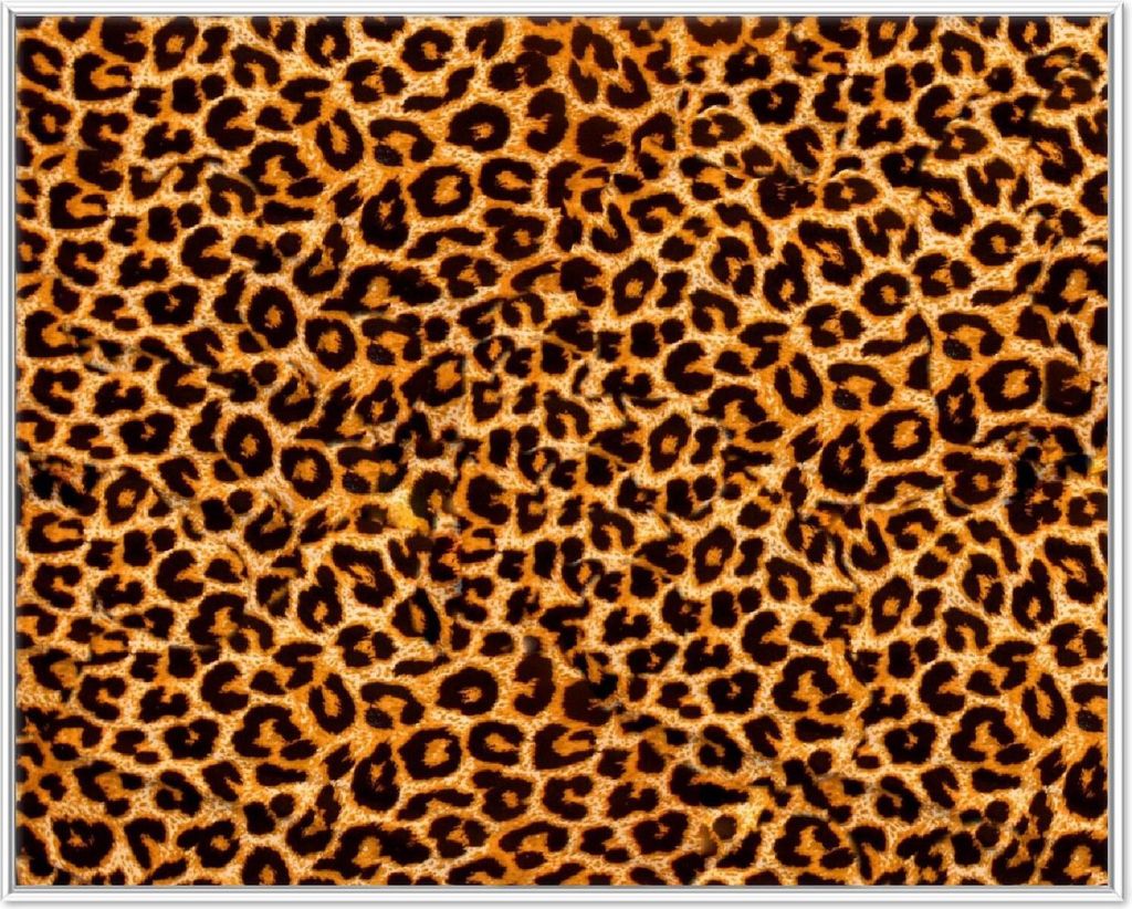 Wallario Wandbild Leopardenmuster  in orange schwarz, Produktbild 