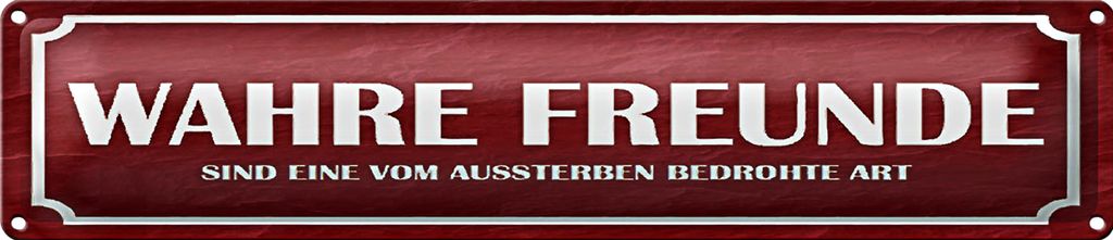 Blechschild Spruch 46x10cm wahre Freunde Geschenk Dekoration