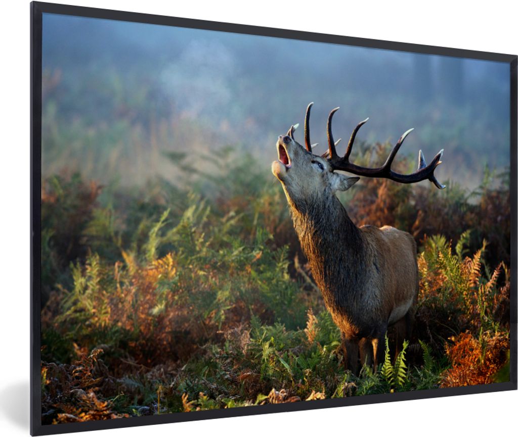 MuchoWow Gerahmtes Poster Hirsche - Wald - Nebel 90x60 cm - Poster mit Schwarzem Bilderrahmen Wandposter Rahmen Foto Bilder - Fotorahmen - Foto-P...