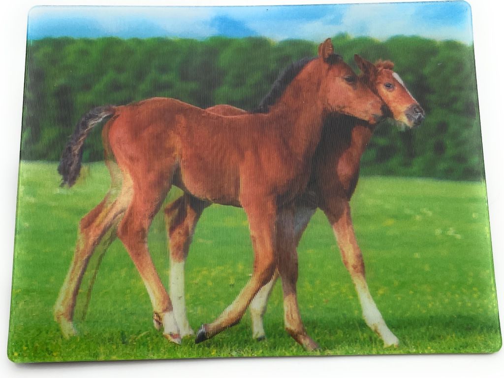 Onwomania Fohlen Pferde Stute Ross 9x7cm 3D Magnet Karte Kühlschrankmagnet Magnetbild Heftmagnet braun