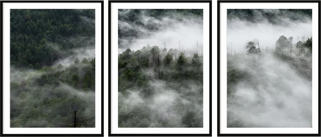Triptyque Forêt Noir et Blanc 33x43cm - Set de 3 Peintures Modernes P2034