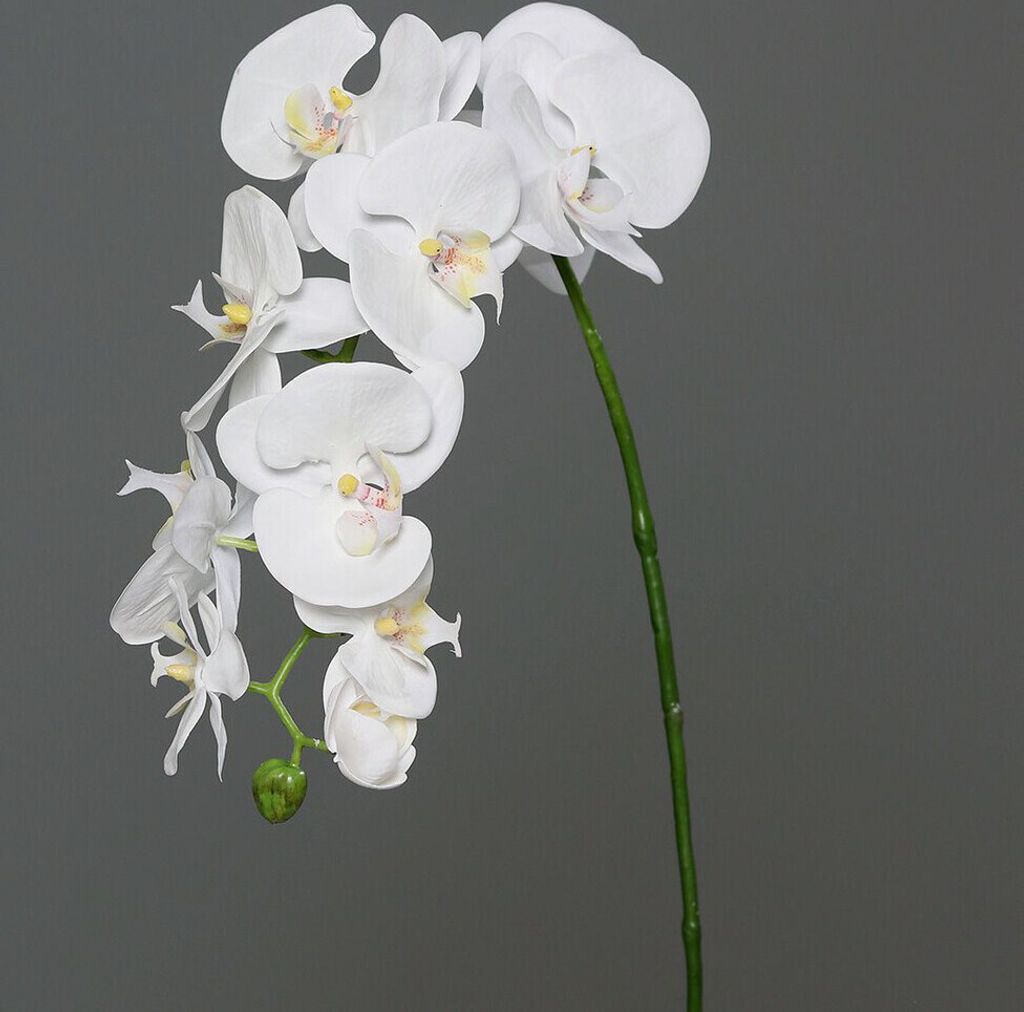Kunstblume Orchidee-Phalaenopsis cream 95cm