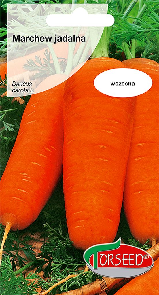 Samen der Karotte Chantenay 3g - Torsamen Produktbild 