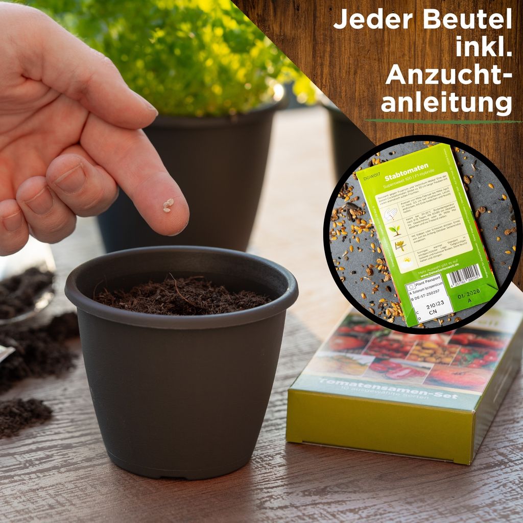 Tomatensamen Set - 10 Sorten Samen - Saatgut Sortiment - Produktbild 5