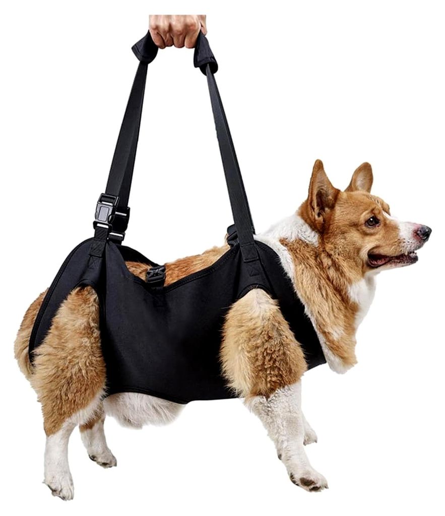 Tragehilfe für Hunde, Verstellbare Gehhilfe für Haustiere, Stützweste mit Einfach zu Tragender Schnalle für Ältere und Behinderte Hunde mit Ge...