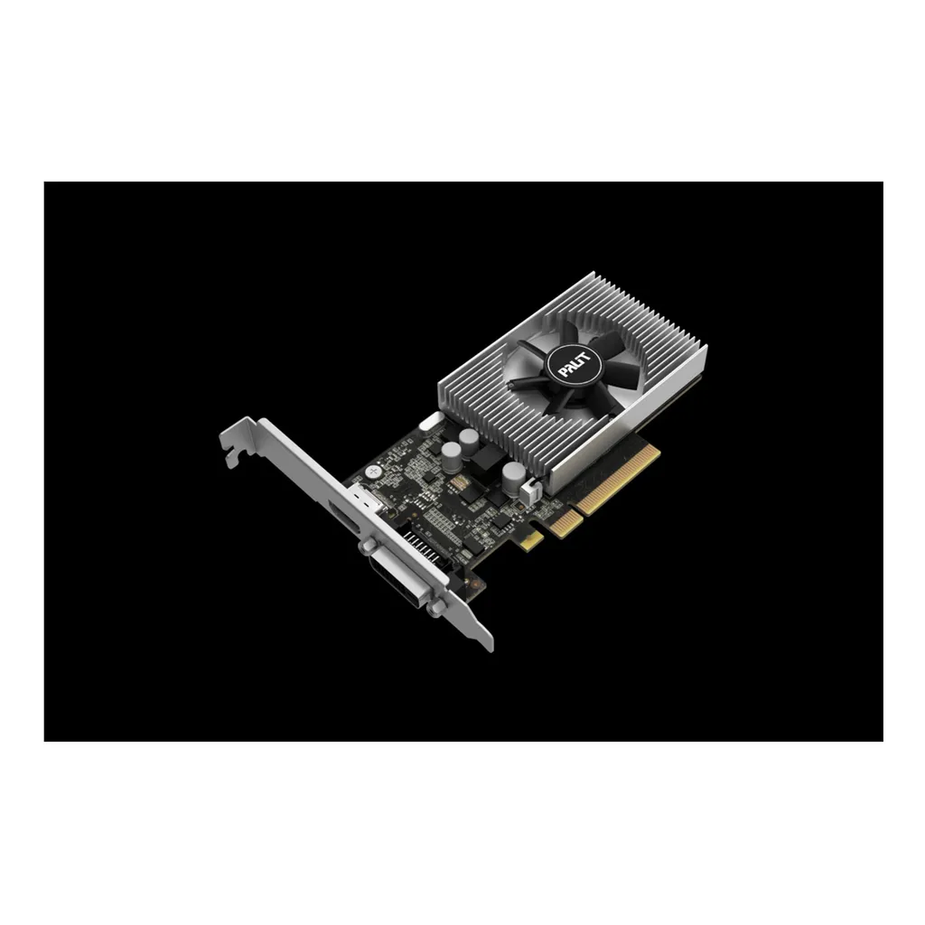 Palit NEC103000646-1082F NVIDIA GeForce GT 1030 2 Go GDDR4 Carte graphique