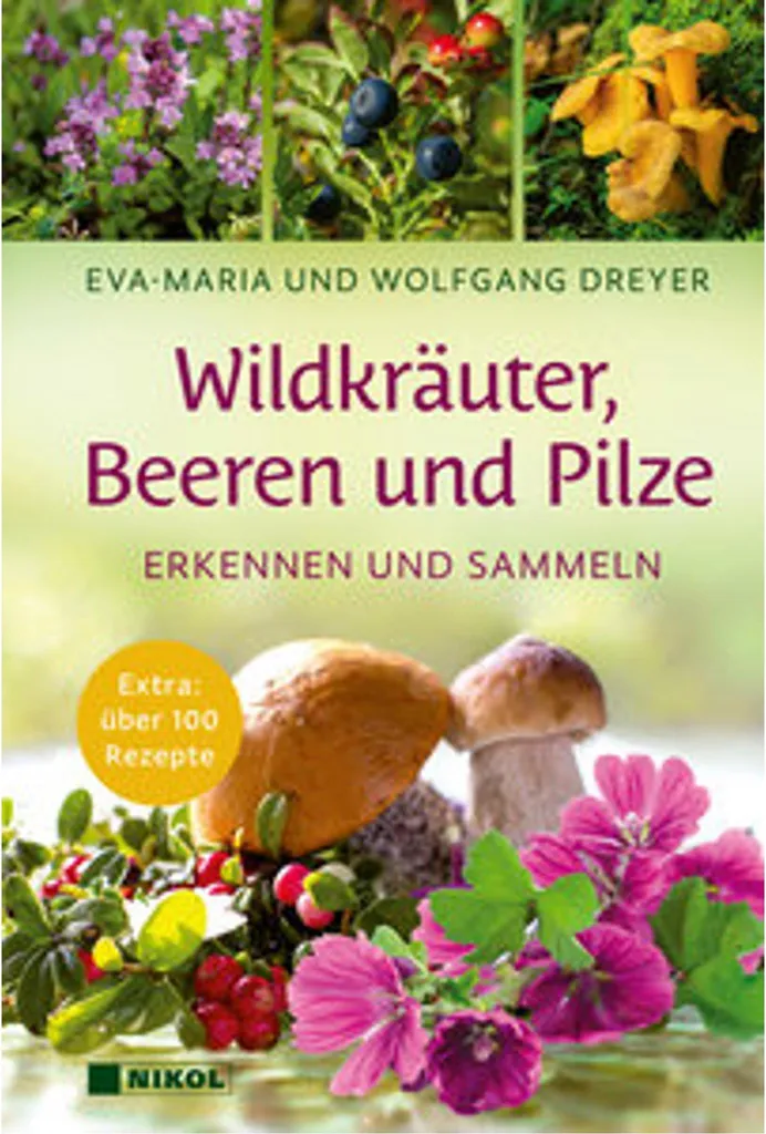 Identifier sans erreur herbes et champignons : le guide de sécurité