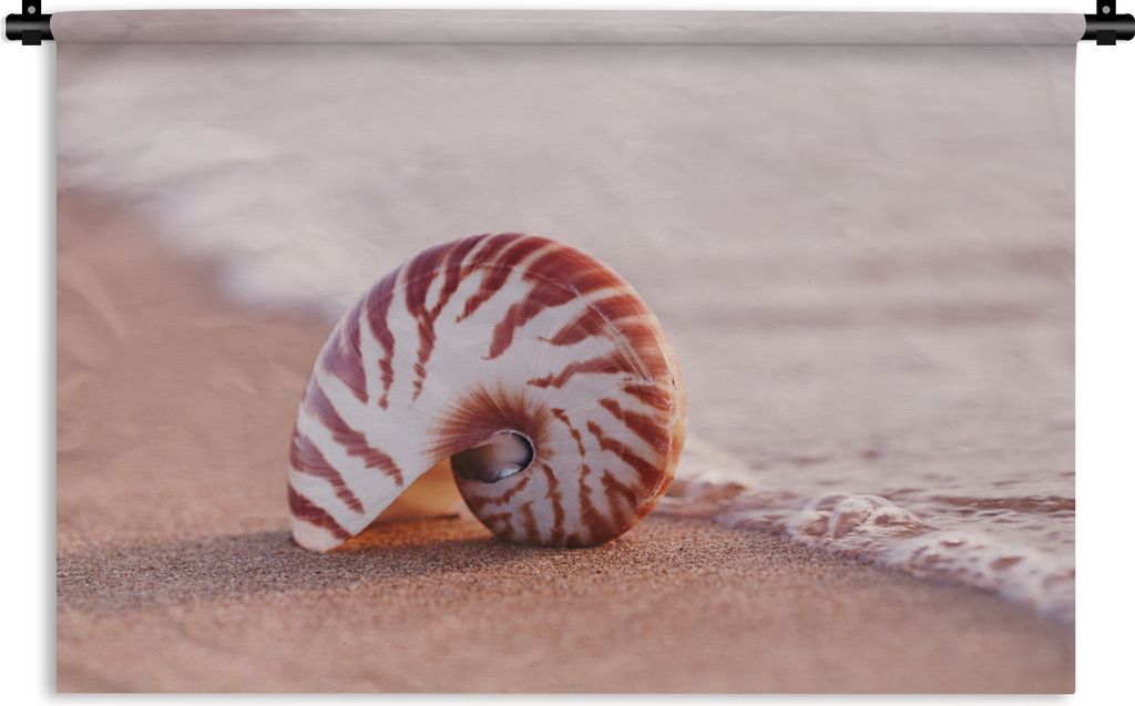 MuchoWow Wandteppich Wandbehang Muschel - Strand - Meer - Sand 120x80 cm Tapisserie Dekoration Wandtuch - Wanddekorationen - Wandtücher
