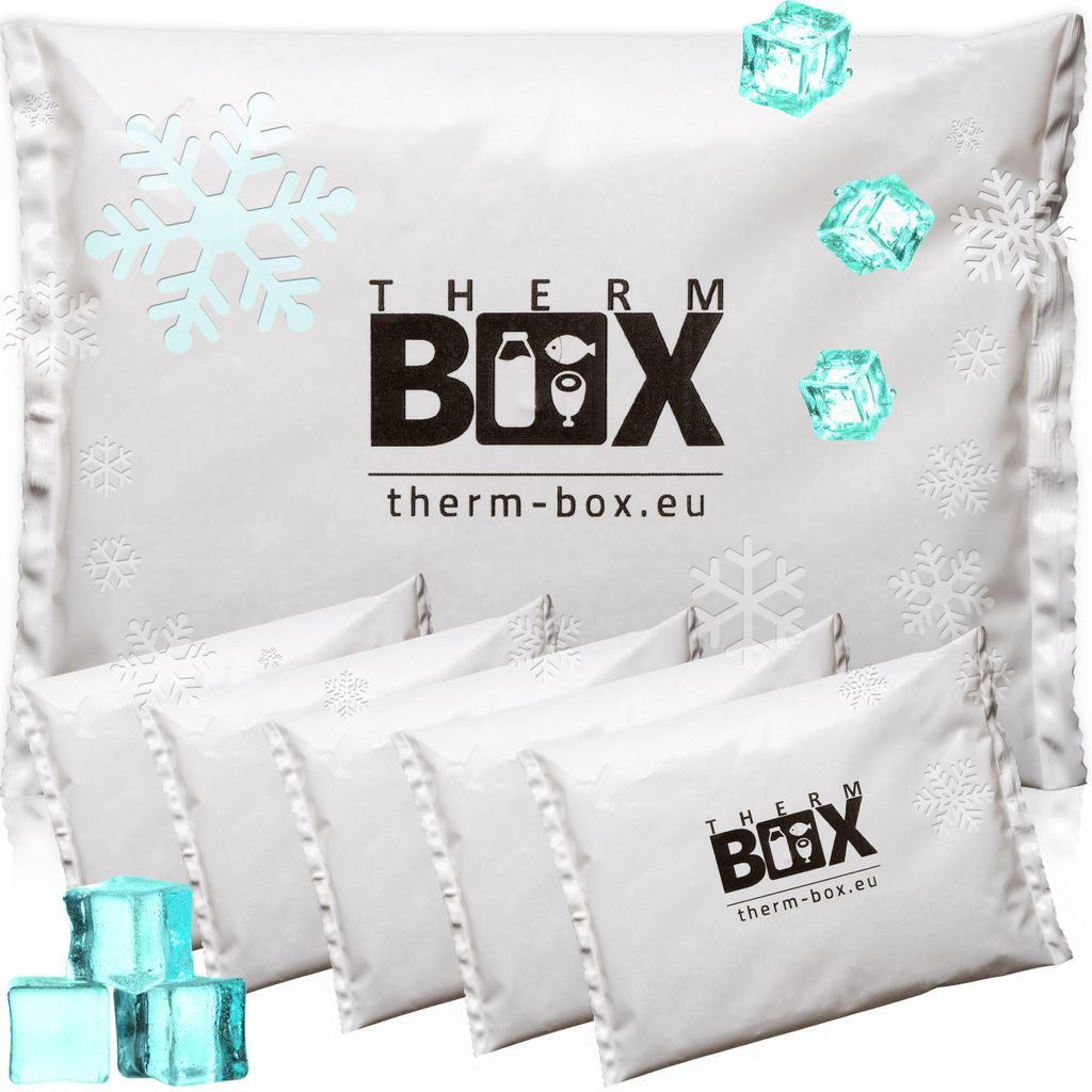 THERM-BOX Profi Kühlakku für Kühlbox Set 6 Stück Groß 450g Produktbild 