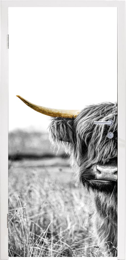 MuchoWow Türtapete Selbstklebende Türfolie Schottischer Highlander - Horn - Gold 75x205 cm Türposter Türaufkleber Klebefolie Türklebefolie -...