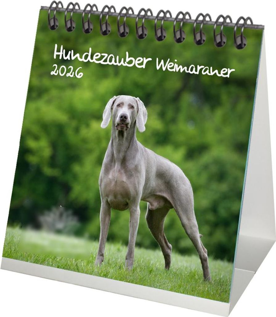 Hundezauber Weimaraner Tischkalender 10cm x 10cm für 2026 Welpen und Hunde - Seelenzauber